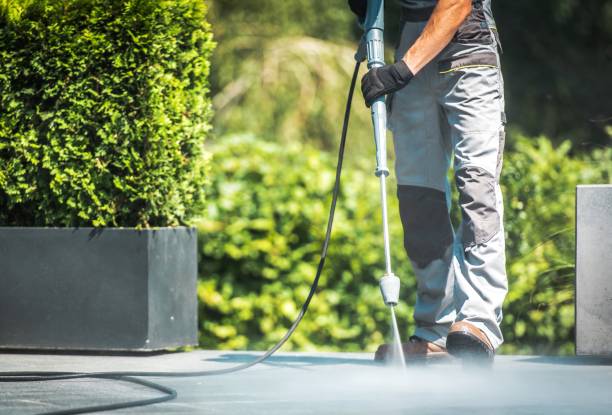 Animal Enclosure Cleaning in Grant, NE